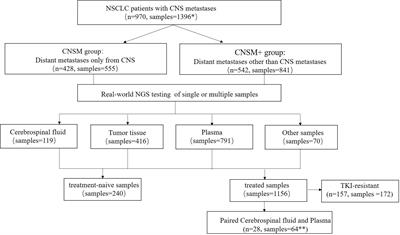 Genomic Alterations Identification and Resistance Mechanisms Exploration of NSCLC With Central Nervous System Metastases Using Liquid Biopsy of Cerebrospinal Fluid: A Real-World Study